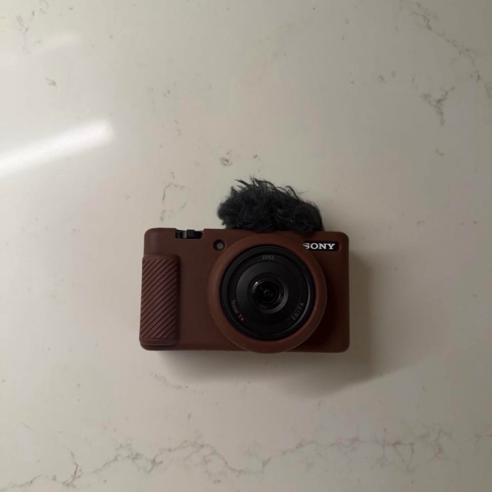 Sony Compact Digital Camera in Brown with Windshield Mic